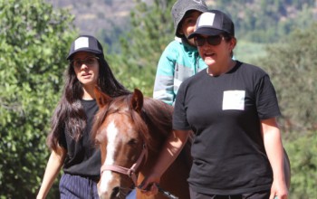PROYECTO DE EQUINOTERAPIA PARA NIÑOS Y NIÑAS AUTISTAS