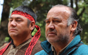 CULMINÓ PROYECTO DE MEDICINA MAPUCHE LAWENTUN 