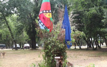 CULMINÓ PROYECTO DE MEDICINA MAPUCHE LAWENTUN 