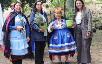 CULMINÓ PROYECTO DE MEDICINA MAPUCHE LAWENTUN 