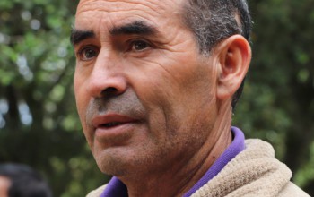 CULMINÓ PROYECTO DE MEDICINA MAPUCHE LAWENTUN 