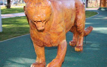 PLAZA DE TRUPÁN: UN ESPACIO MÁGICO DISEÑADO POR LOS VECINOS