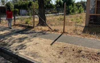 FISCALIZAMOS PREDIOS CON PASTIZALES