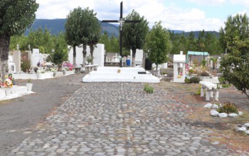 EFECTUAMOS TRABAJOS EN CEMENTERIOS MUNICIPALES