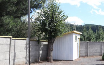 EFECTUAMOS TRABAJOS EN CEMENTERIOS MUNICIPALES