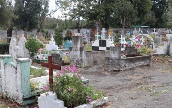 EFECTUAMOS TRABAJOS EN CEMENTERIOS MUNICIPALES