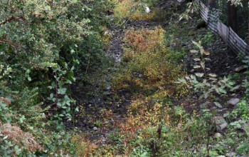 INSPECCIONAMOS ESTADO DE RÍOS MANCO Y CENTINELA POR LLUVIAS