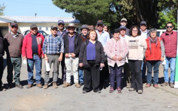 USUARIOS PRODESAL RECIBEN INSUMOS