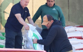 USUARIOS PRODESAL RECIBEN INSUMOS