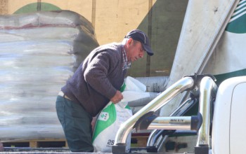 USUARIOS PRODESAL RECIBEN INSUMOS