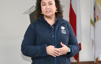 DICTAN CHARLA SOBRE CAPITAL ABEJA Y CAPITAL SEMILLA