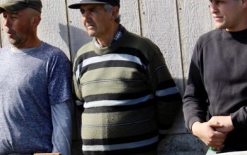 DOMINGO DE RAYUELA, TRADICIÓN Y CAMARADERÍA EN POLCURA 